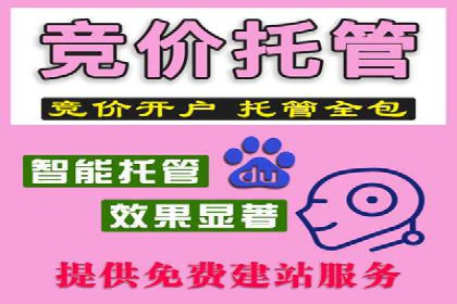 百度广告推广助力电商行业案例分析